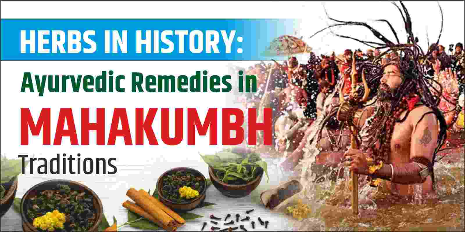 Herbs in History: Ayurvedic Remedies in Mahakumbh Traditions